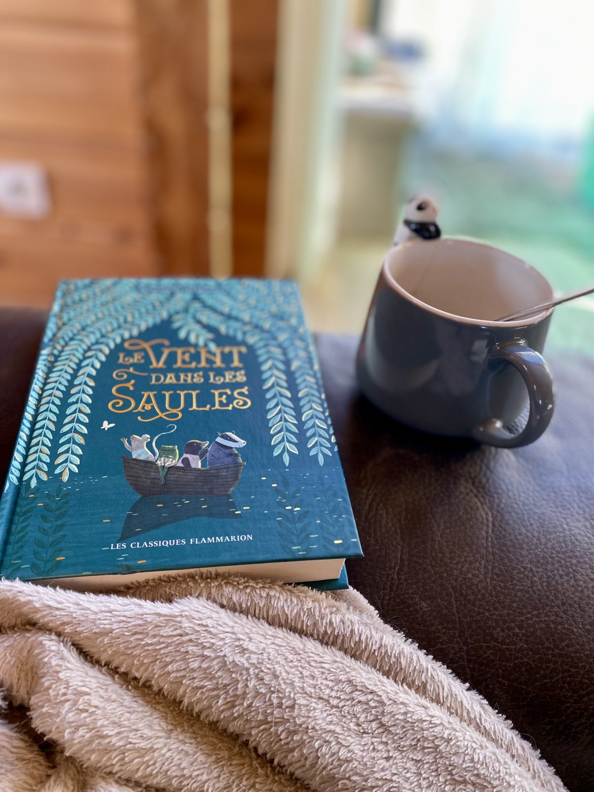 Mercredi jeunesse avec « Le vent dans les saules » de Kenneth Grahame, publié chez Flammarion Jeunesse