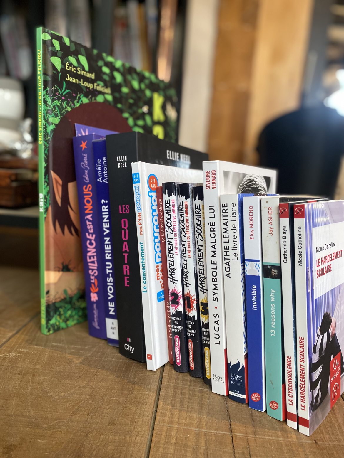 STOP au Harcèlement Scolaire : journée nationale contre la violence et le harcèlement en milieu scolaire